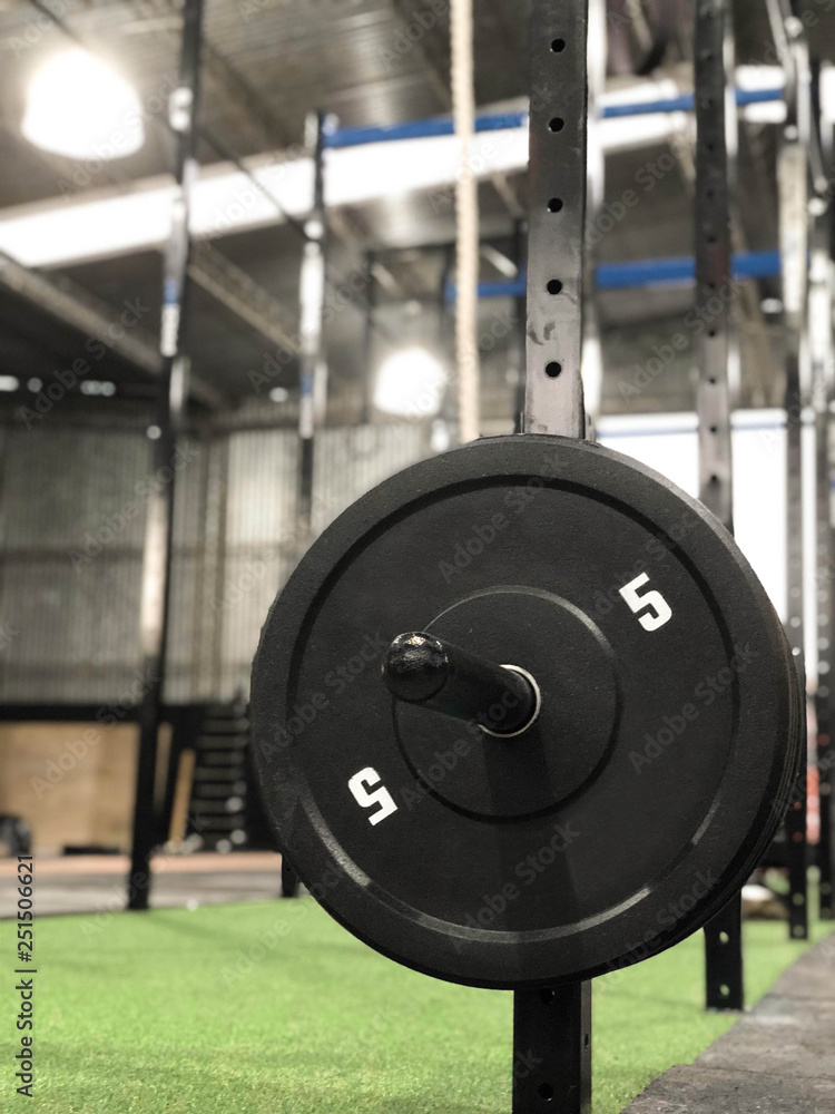 Rubber bumper weights hanging at a Crossfit rack with no people training at the gym