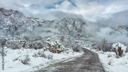 Wallpaper Mural Mountain Road in Winter Storm Torontodigital.ca