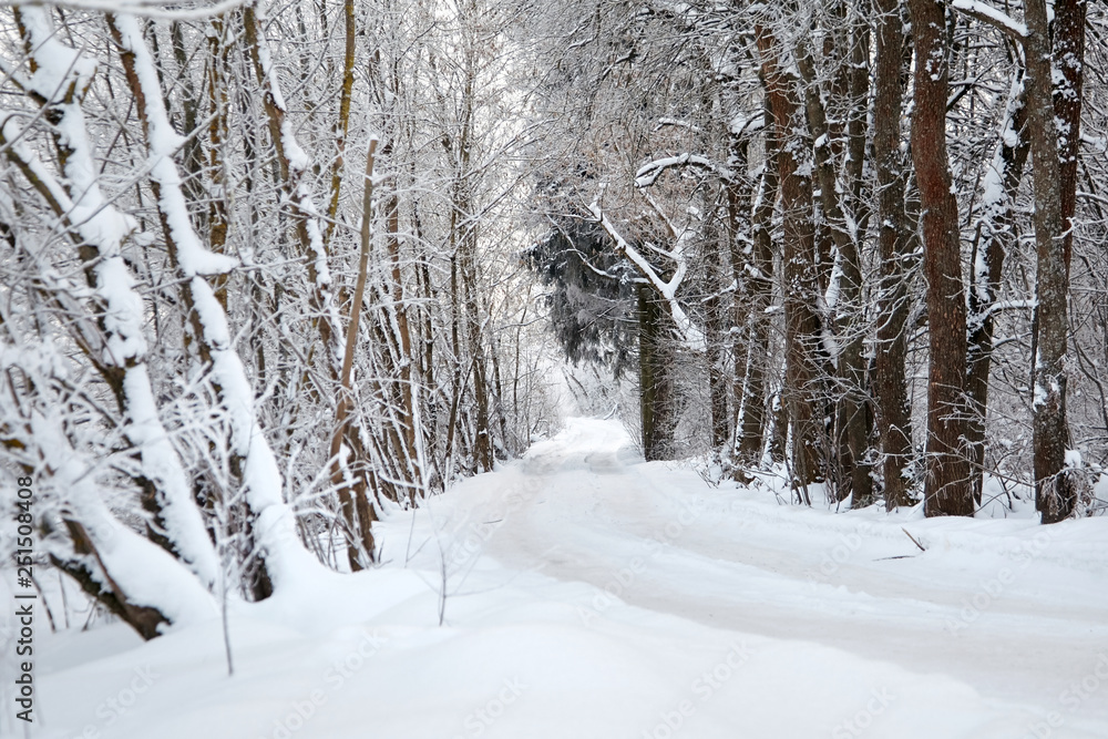 Snow covered road in the winter forest Snow covered road in the winter forest