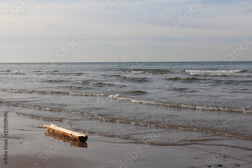 Holz in der Ostsee