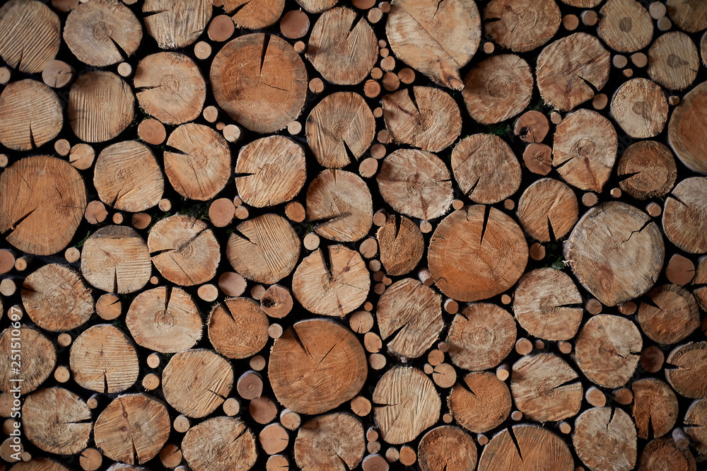 Texture. Panels of wood cuts of different diameters. Eco design Texture. Panels of wood cuts of different diameters. Eco design