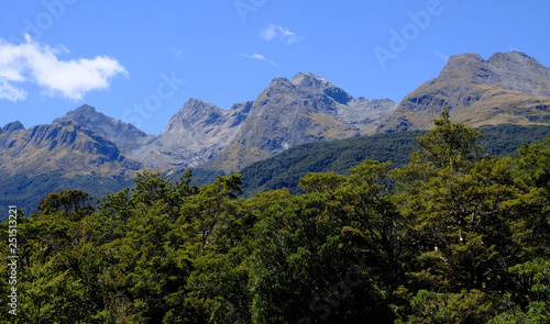 Fiordland National Park  South Island  New Zealand