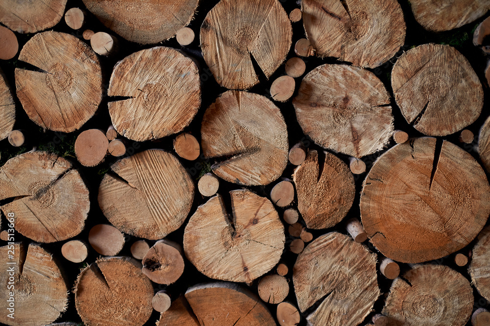 Texture. Panels of wood cuts of different diameters. Eco design Texture. Panels of wood cuts of different diameters. Eco design
