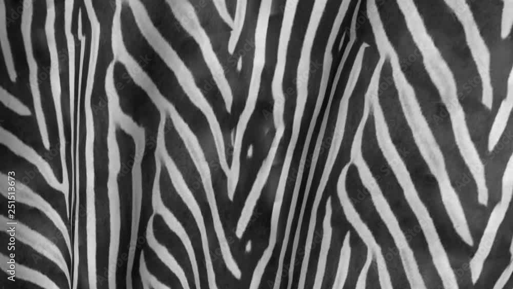 Zebra fabric in the wind movement. The background of the canvas ripples. Zebra fabric in the wind movement. The background of the canvas ripples.