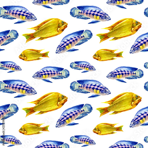 Seamless patterns with tropical fish