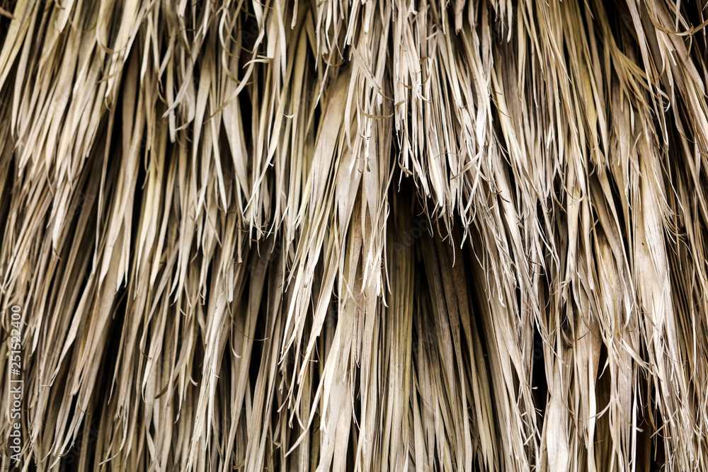 Dry leaves on palm tree as abstract background Dry leaves on palm tree as abstract background