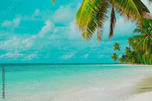 Fototapeta Naklejka Na Ścianę i Meble -  tropical sand beach with palm trees, vacation concept