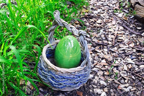 easter eggs in the nest