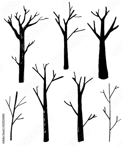 Naked trees silhouettes set. Hand drawn isolated illustrations. Nature drawing.