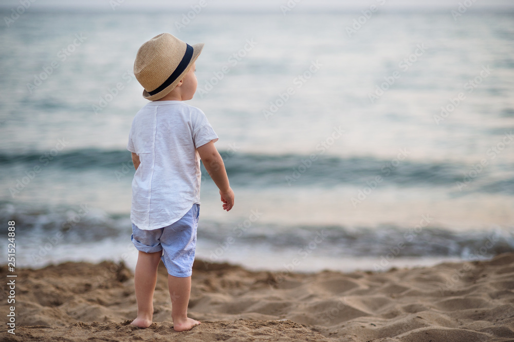 A rear view of small toddler boy with hat standing on beach on summer holiday.