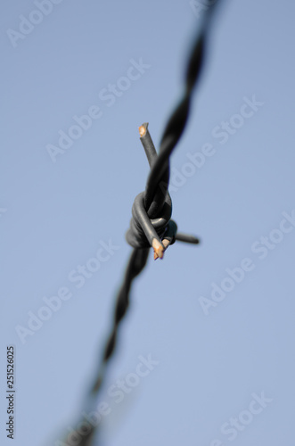 Barbed wire with details on spikes