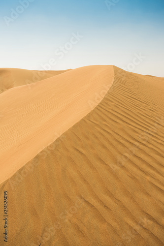  Arabian desert