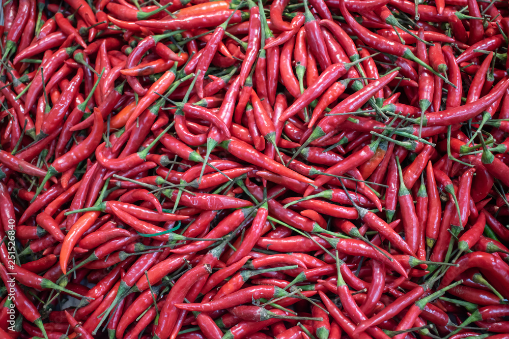 Fototapeta premium red chili peppers background