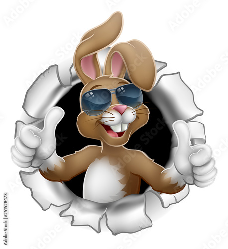 Easter bunny rabbit cartoon character in cool sunglasses or shades breaking through the background and giving a thumbs up