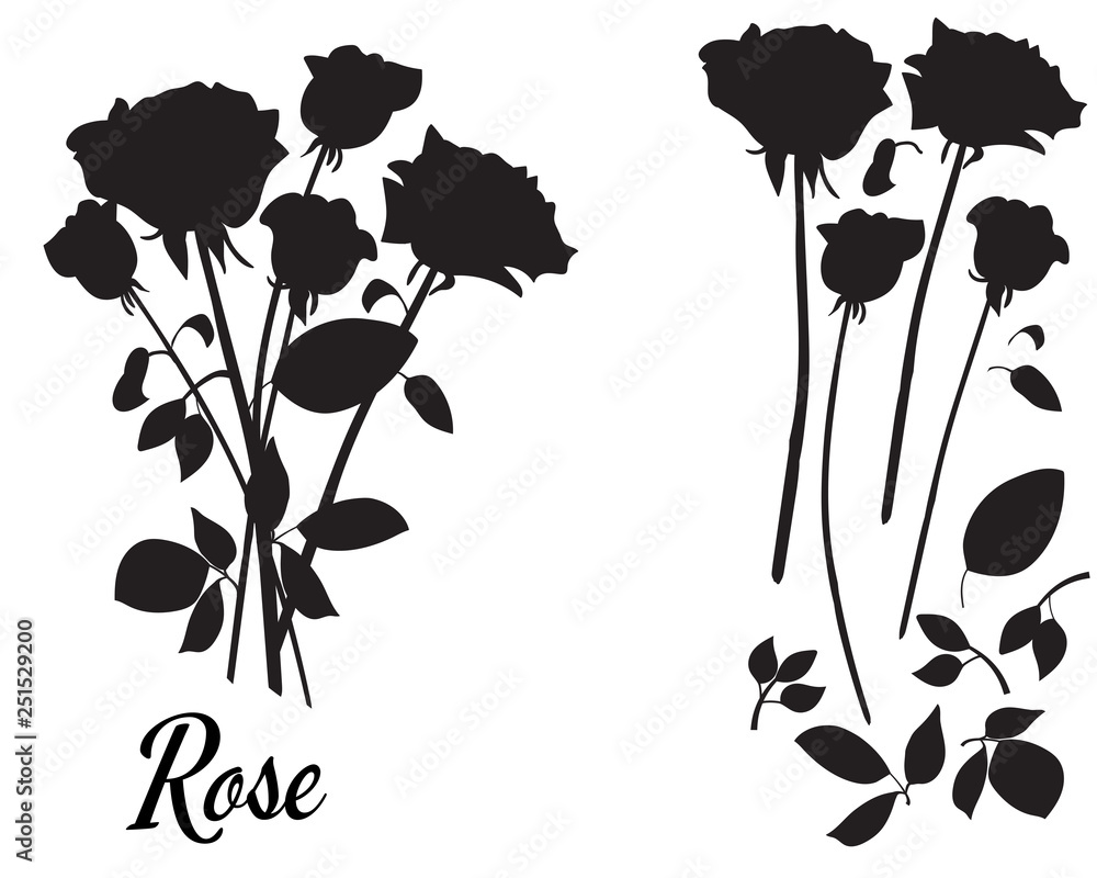 Rose silhouette vector illustration. Bouquet of roses.