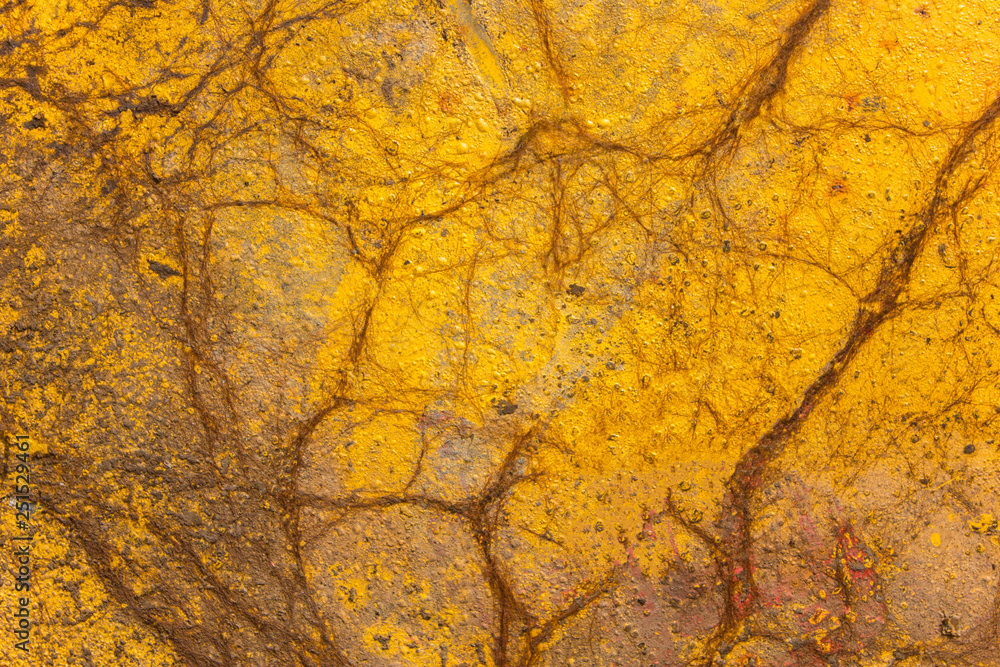 old dirty gray yellow wall with dry vegetation and moss. rough surface texture old dirty gray yellow wall with dry vegetation and moss. rough surface texture