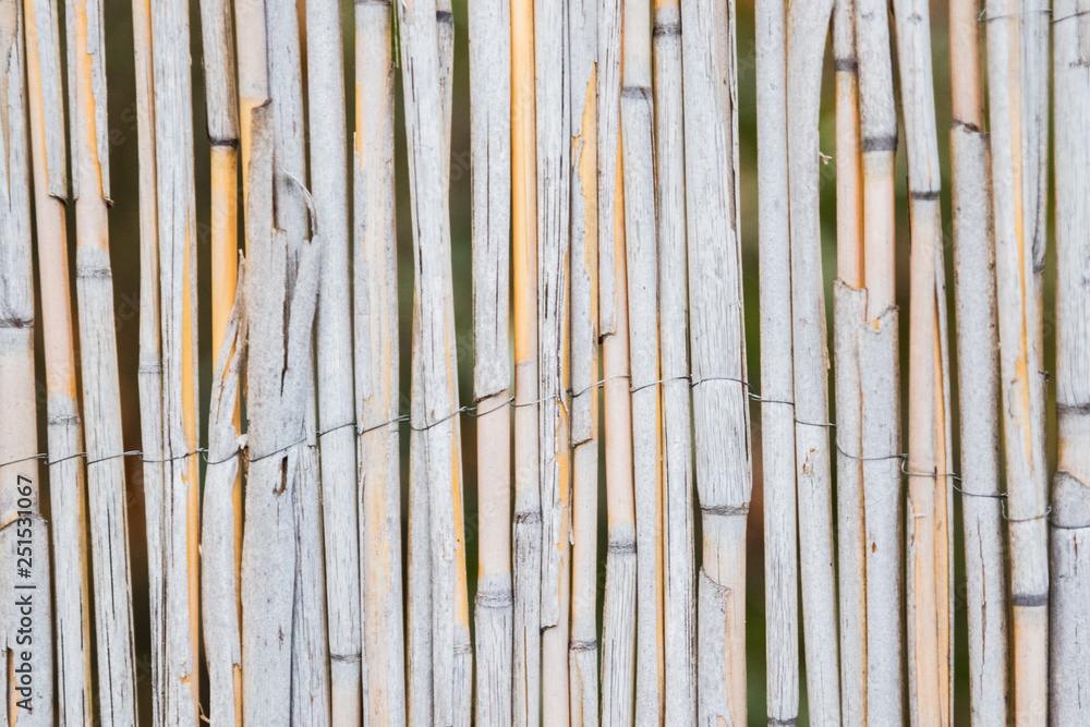 Fototapeta premium wood texture background with old panels