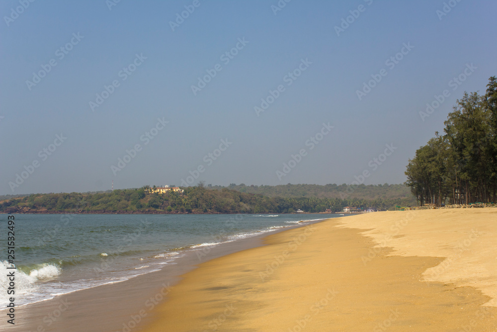 yellow sandy beach in the background of the sea bay and green jungle