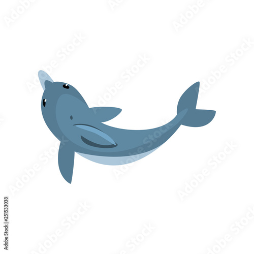 Cute Dolphin Cartoon Sea Animal Character Swimming, View From Above Vector Illustration