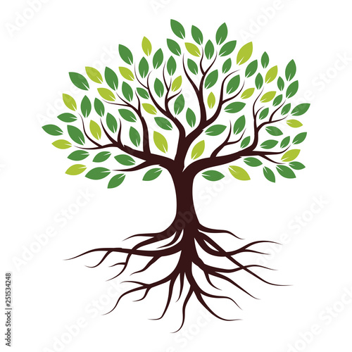 Illustration Tree with Roots