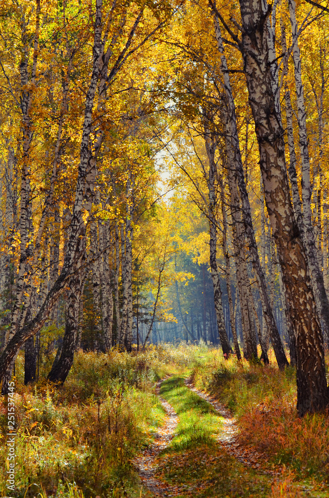 In autumn forest. In September, the first frosts begin in the Urals. In the morning frost appears on the grass and leaves. And in the afternoon in Sunny weather it is warm as in summer.