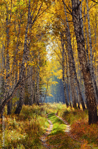 In autumn forest. In September, the first frosts begin in the Urals. In the morning frost appears on the grass and leaves. And in the afternoon in Sunny weather it is warm as in summer.