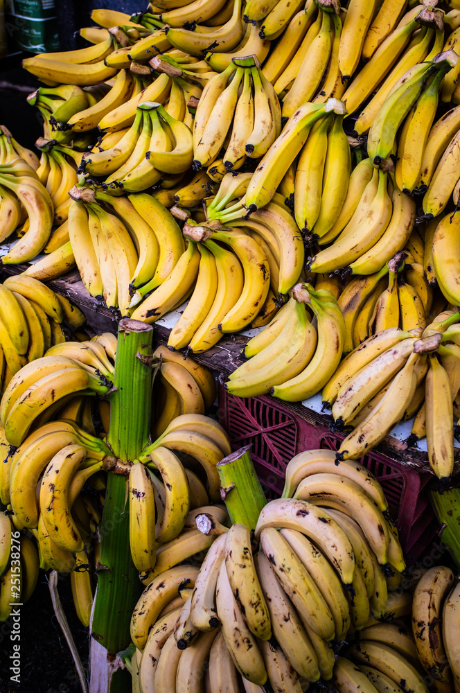banana plant on a market