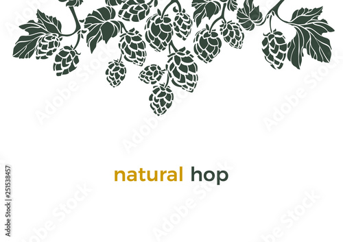 Vector template. Natural hop. Art border