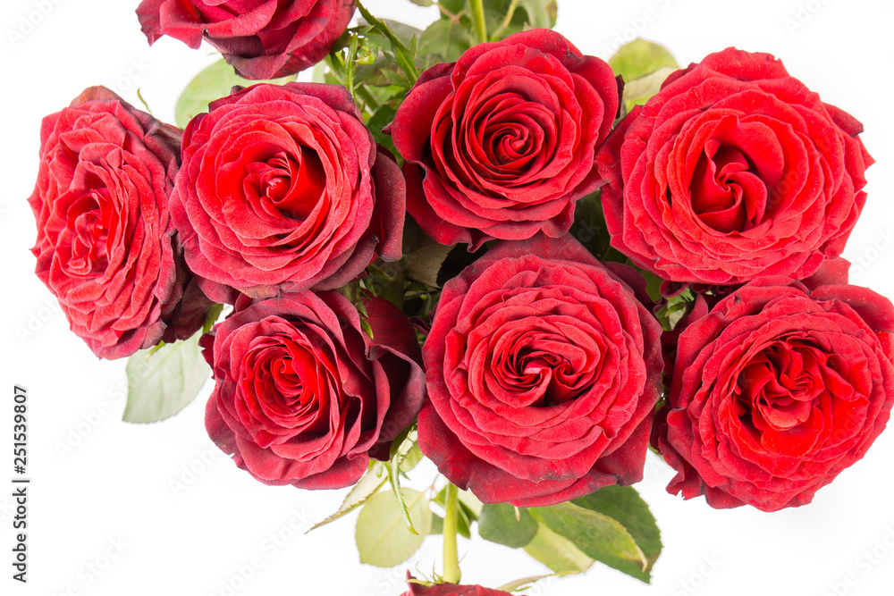 close up of a Bunch of beautiful dark red roses close up of a Bunch of beautiful dark red roses