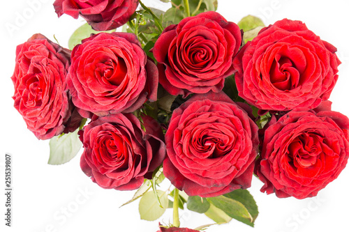 close up of a Bunch of beautiful dark red roses