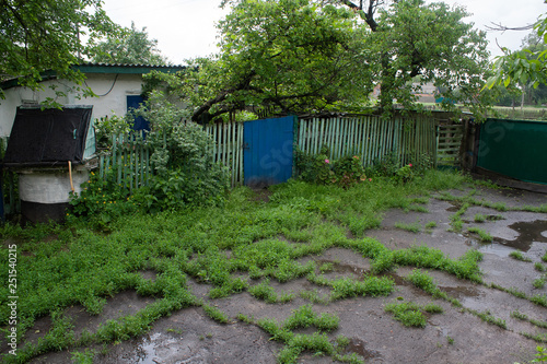 Rural yard after the rain overgrown with grass and poddles