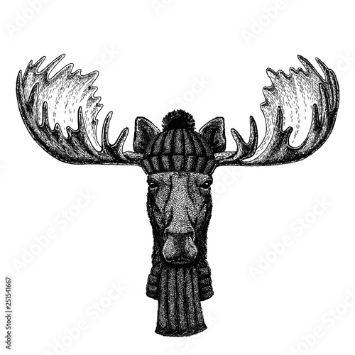 Moose, elk Cool animal wearing knitted winter hat. Warm headdress beanie Christmas cap for tattoo, t-shirt, emblem, badge, logo, patch
