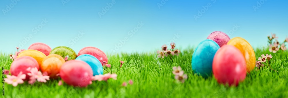 Bunte Ostereier zu Ostern als Panorama Header Stock Photo | Adobe Stock