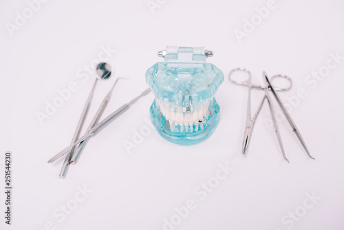 jaw model and dental instruments isolated on white