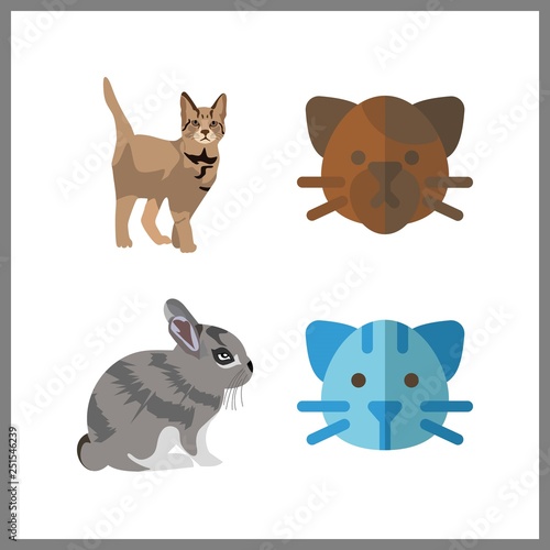 4 pets icon. Vector illustration pets set. cat and rabbit icons for pets works