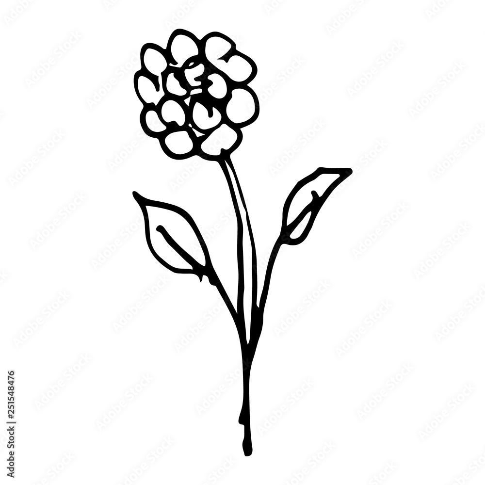 Hand drawn doodle flower.Perfect for invitation Hand drawn doodle flower.Perfect for invitation
