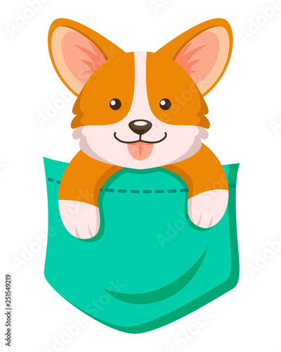 Pocket corgi dog. Cute cartoon puppy