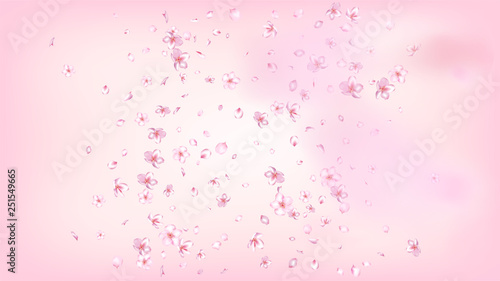 Nice Sakura Blossom Isolated Vector. Pastel Showering 3d Petals Wedding Border. Japanese Beauty Spa Flowers Wallpaper. Valentine, Mother's Day Feminine Nice Sakura Blossom Isolated on Rose