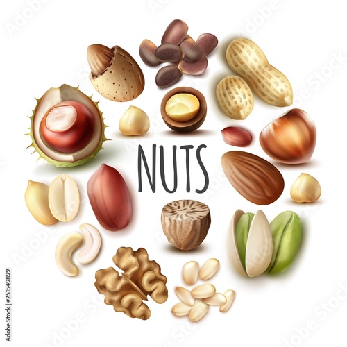Realistic Nuts Round Concept