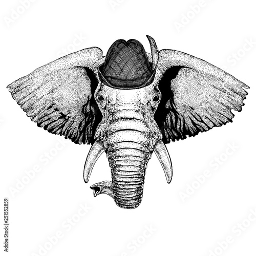 Elephant wearing traditional bavarian tirol hat. Oktoberfest.