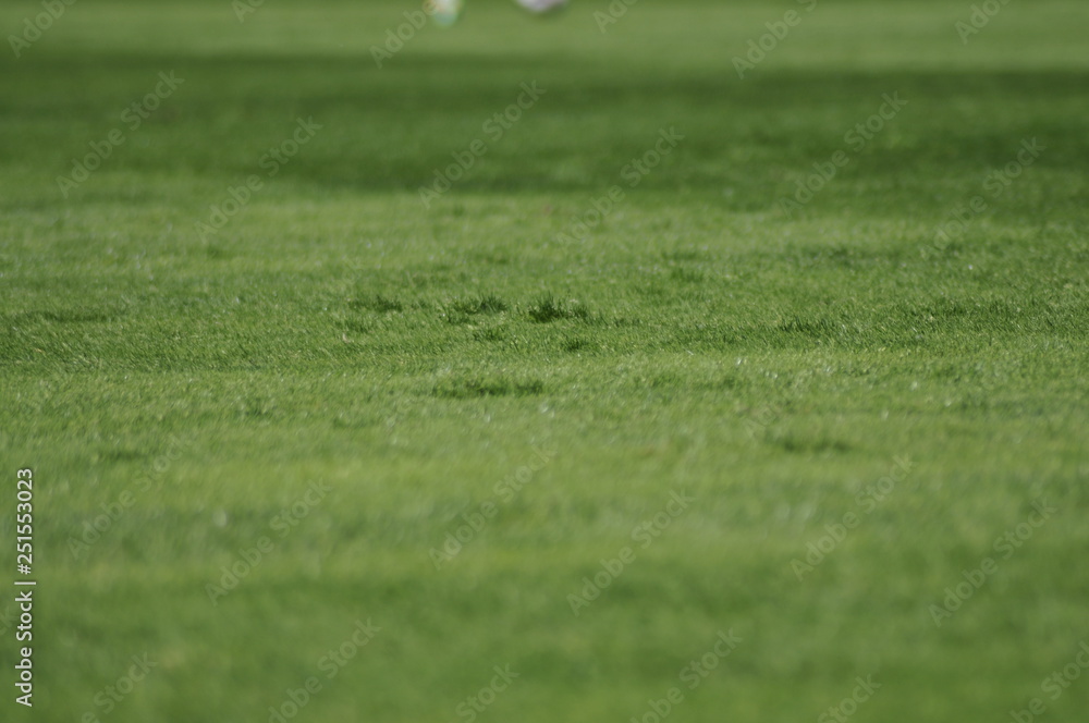 Football pitch with shallow depth of field Football pitch with shallow depth of field