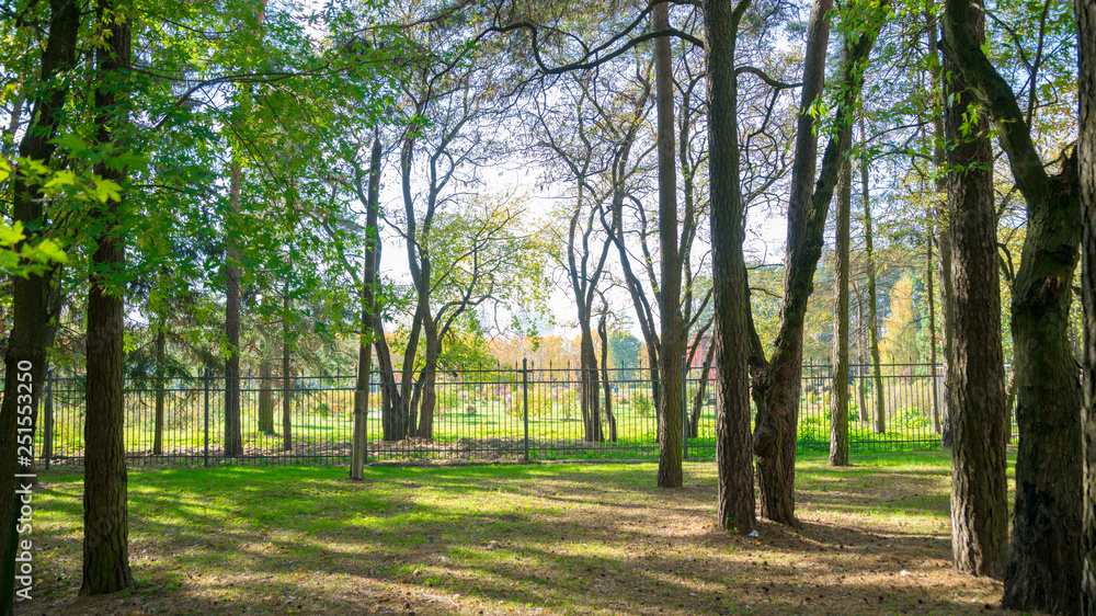 Obraz premium Hot summer day