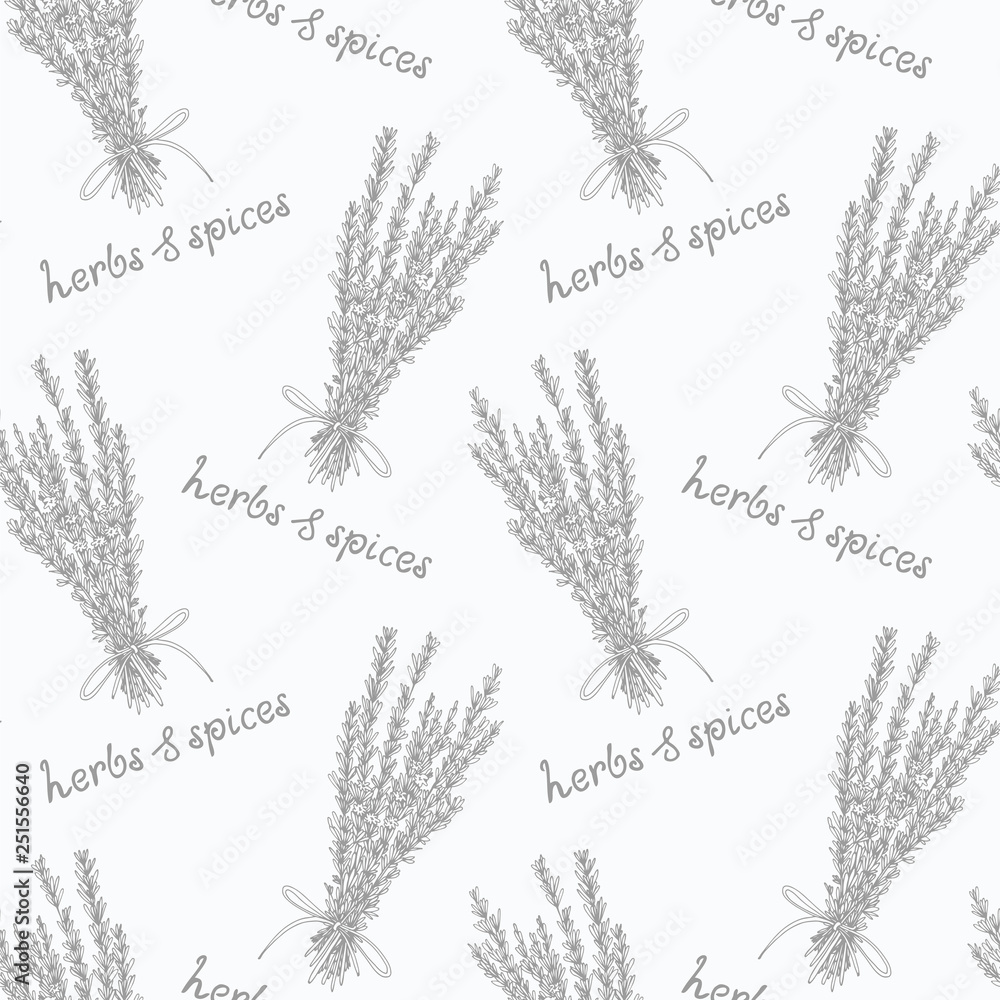 Fototapeta premium Herbs pattern with hand drawn savory branches
