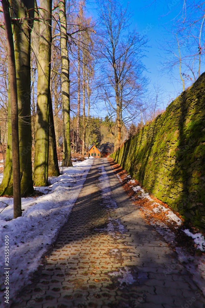 Fototapeta premium der weg ist das ziel