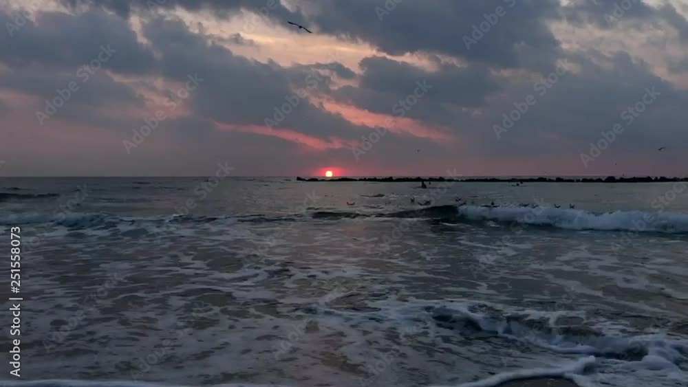 Birds are flying over the Mediterranean sea on a summer evening in Cyprus Birds are flying over the Mediterranean sea on a summer evening in Cyprus