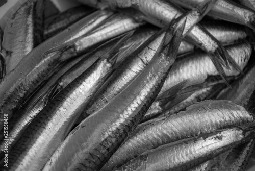 Close-up of fresh anchovies