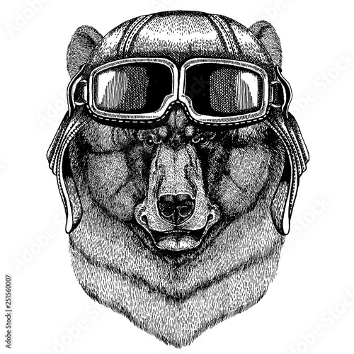 Animal wearing aviator helmet with glasses. Vector picture. Black bear Hand drawn illustration for tattoo, t-shirt, emblem, badge, logo, patch