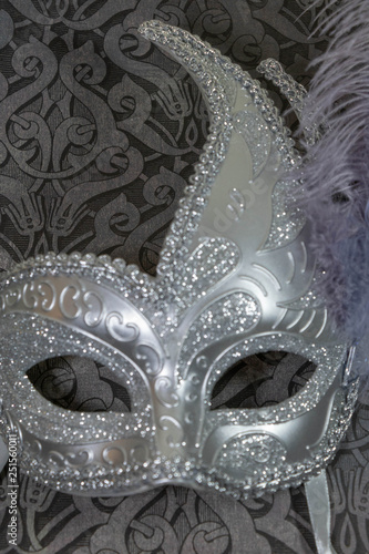 Masque de carnaval argent et violet