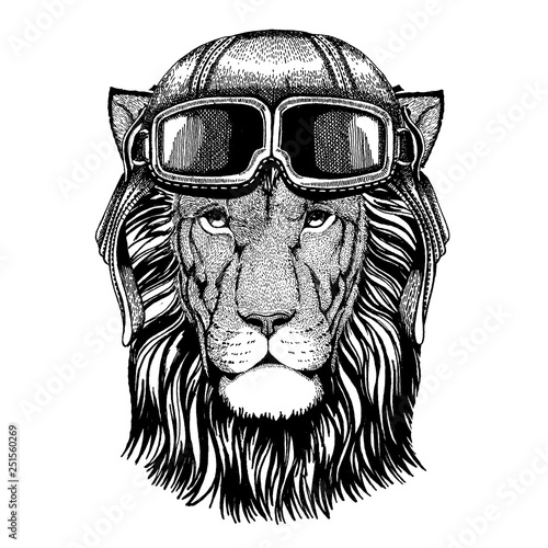 Wild lion. Animal wearing aviator helmet with glasses. Vector picture.