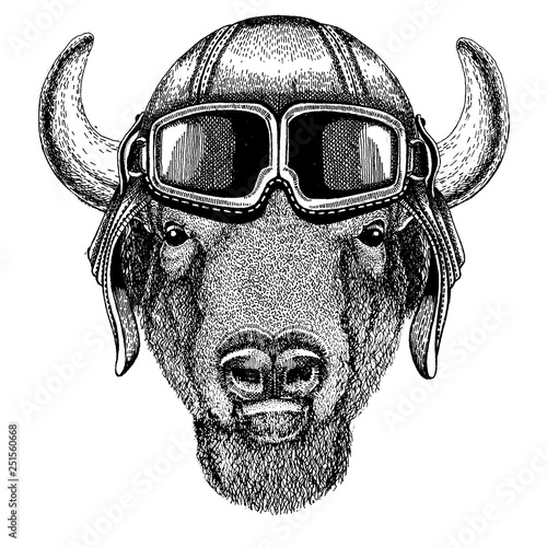 Animal wearing aviator helmet with glasses. Vector picture. Buffalo, bison,ox, bull Hand drawn image for tattoo, emblem, badge, logo, patch